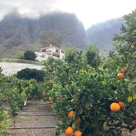 Casa Camino Tamadaba Ii Daire Agaete (Gran Canaria)