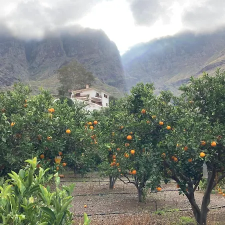 Casa Camino Tamadaba Ii Daire