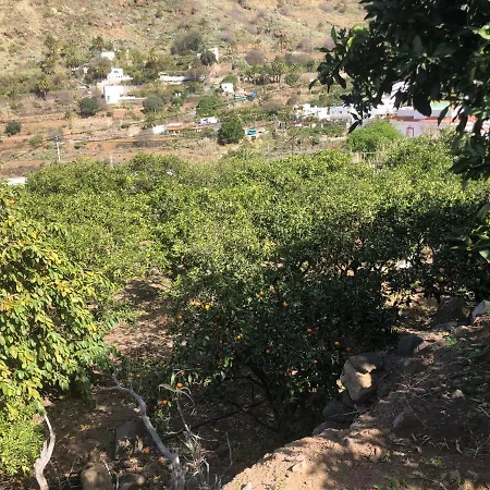 Casa Camino Tamadaba Ii Daire Agaete (Gran Canaria)